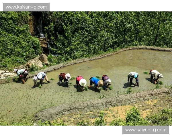 开云体育关键对位：洞察赛场制胜的对位策略