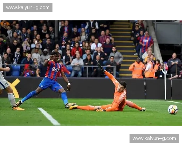 斑马军团与紫百合的激情碰撞：一场历史与荣耀的对决